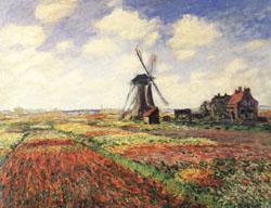 Tulip Fields in Holland, Claude Monet